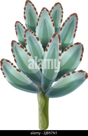 Composition de Cactus avec image isolée de fleur d'agave sur fond vierge illustration vectorielle Illustration de Vecteur