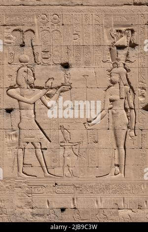 Mur arrière au Temple Dendera, près de Qena, Égypte Banque D'Images