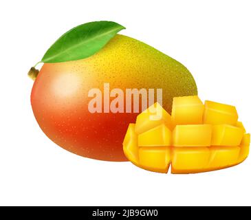 Composition réaliste de fruits avec des images de fruits entiers et de fruits de mangue tranchés sur fond vierge illustration vectorielle Illustration de Vecteur