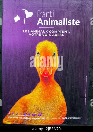 Paris, France, gros plan, Affiches d'élection sur présentation, 'Animaliste Parti', Duck image Banque D'Images