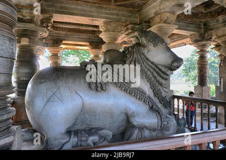 20 décembre 2021, plus grande statue monolithique de Nandi au temple Hoysaleswara, magnifique Nandi (le taureau de Lord Shiva) Mandap, Belur et Halebidu. Commencé en 11 Banque D'Images