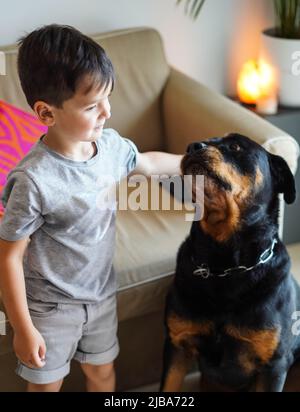 Petit garçon jouant avec un chien rottweiler Banque D'Images