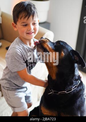 Petit garçon jouant avec un chien rottweiler Banque D'Images