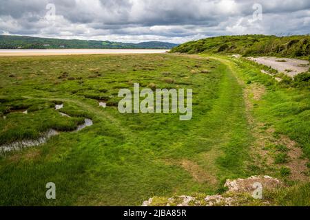 En regardant vers le nord vers Blackstone point et le saltmarais de White Creek sur le canal de Kent près du parc Arnside, Lancashire, Angleterre Banque D'Images