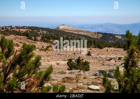 Ida Mountain-Kaz Daglari En Turquie. (En turc: Kazdagi, signifiant Goose Mountain), Turquie. Belle nature..la montagne Ida a des plantes et des arbres endémiques Banque D'Images