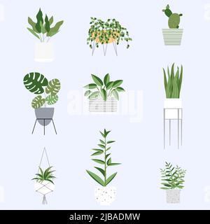 Ensemble d'illustrations vectorielles de la plante dans le pot. Dessin animé plat différents intérieur pot décoration plantes pour la décoration intérieure ou de bureau. Illustration de Vecteur
