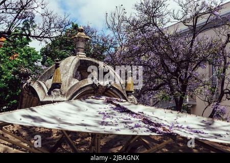 Monument Carmo à Lisbonne, Portugal couvert de feuilles de jacaranda pourpres Banque D'Images