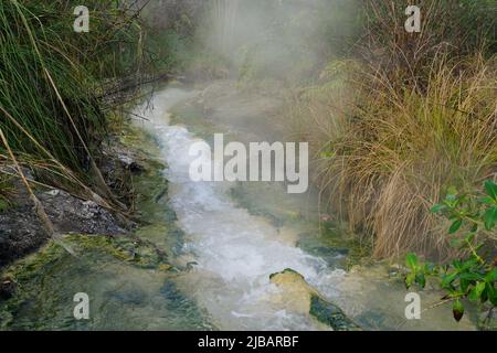 Une rivière thermale à la vapeur près de Taupo, en Nouvelle-Zélande Banque D'Images