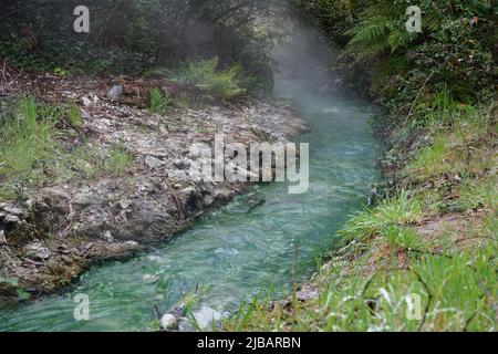 Une rivière thermale à la vapeur près de Taupo, en Nouvelle-Zélande Banque D'Images