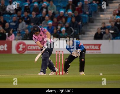 Joe Cracknell, de Middlesex, joue dans un match Vitoria Insurance T20 Blast vs Sussex au stade de la maison de Sussex, Hove, le 4th juin 2022 Banque D'Images