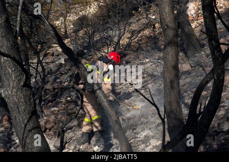 Athènes, Grèce. 4th juin 2022. Un pompier combat un feu de forêt à Voula, une banlieue sud d'Athènes, en Grèce, sur 4 juin 2022. Un important feu de forêt a éclaté samedi après-midi dans la partie côtière sud d'Athènes, ce qui a poussé le service d'incendie à réagir au moment où l'incendie attelait les zones résidentielles. Crédit: Marios Lolos/Xinhua/Alamy Live News Banque D'Images