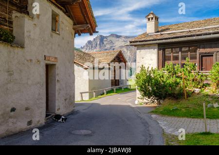 Val Fex, Suisse - 25 septembre 2021 : un chien en face d'une maison en pierre dans la vallée de Fex (Engadine, Suisse) Banque D'Images