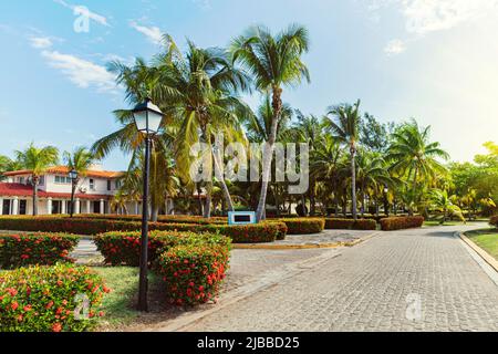 Maison de luxe vue à travers les arbres et le jardin. Belle maison parmi les palmiers sur une île tropicale dans le Sud. Banque D'Images