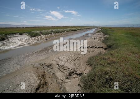 Un canal dans l'écosystème côtier de marais salants de la baie de San Francisco à marée basse. Banque D'Images