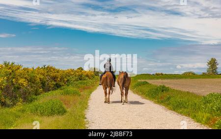 Une femme à cheval. Dressage de la femme à cheval dans le parc. Sportif équestre. Photo de rue, sélection, éditorial-29 mai,2022-Vancouve Banque D'Images