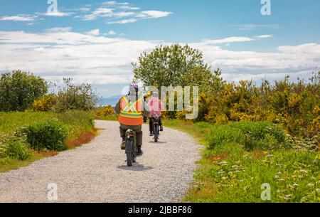 Promenade en vélo en famille à Sunny Spring Day le long des champs et de la forêt. Un groupe de cyclistes sur une route de parc. Des gens qui font du vélo sur la piste entre le haut gras Banque D'Images