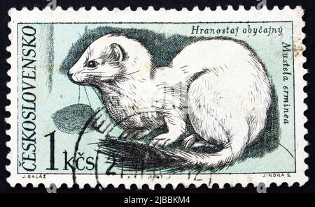 TCHÉCOSLOVAQUIE - VERS 1967: Un timbre imprimé en Tchécoslovaquie montre Ermine, Mustela erminea, animal du Parc national de Tatra, vers 1967 Banque D'Images