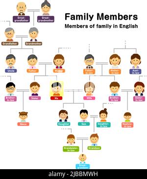 Illustration vectorielle arbre généalogique ( membres de la famille ) Illustration de Vecteur
