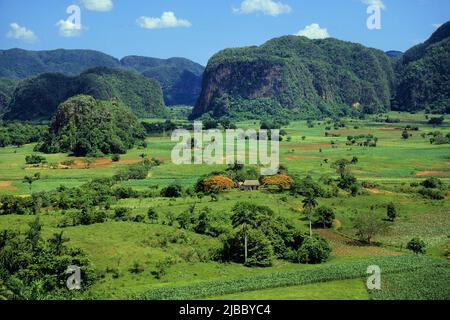 Valle de Vinales, beau paysage dans l'ouest de Cuba, Pinar del Rio, Habana, Cuba, Caraïbes Banque D'Images