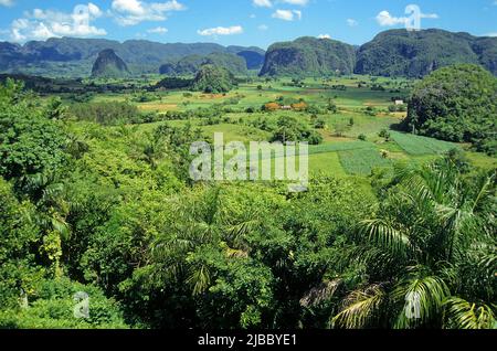 Valle de Vinales, beau paysage dans l'ouest de Cuba, Pinar del Rio, Habana, Cuba, Caraïbes Banque D'Images