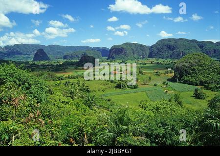 Valle de Vinales, beau paysage dans l'ouest de Cuba, Pinar del Rio, Habana, Cuba, Caraïbes Banque D'Images