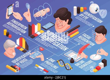 Identification biométrique isométrique composition horizontale de l'organigramme avec des images de la tête humaine mains icônes d'infographie et illustration de vecteur de texte Illustration de Vecteur