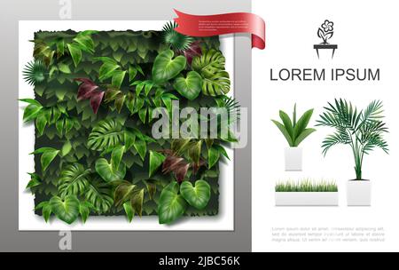 Concept réaliste de plantes à la maison avec des plantes à la maison en pots et beau mur vert avec illustrations vectorielles de feuilles tropicales Illustration de Vecteur