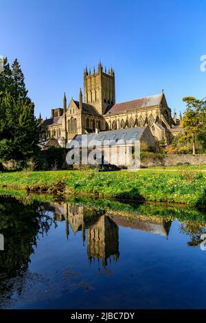 Cathédrale de Wells avec un reflet presque parfait sous le soleil d'hiver dans une piscine du Bishop's Palace, Somerset, Angleterre, Royaume-Uni Banque D'Images