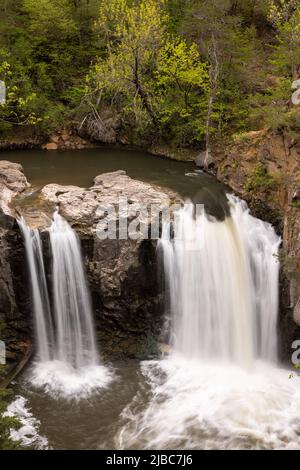 Chutes Ramsey - Une chute d'eau sur un ruisseau dans les bois au printemps. Banque D'Images