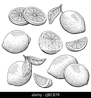 Citron fruit graphique noir blanc isolé esquisse vecteur d'illustration Illustration de Vecteur