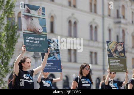 Les manifestants portent des pancartes lors d'un rassemblement mondial de la Journée nationale des droits des animaux. Les rassemblements nationaux de la Journée des droits des animaux ont eu lieu dans plusieurs villes du monde entier le même jour. (Photo de Luka Dakskobler / SOPA Images/Sipa USA) Banque D'Images