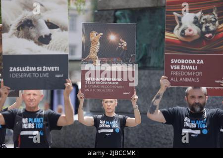 Les manifestants portent des pancartes lors d'un rassemblement mondial de la Journée nationale des droits des animaux. Les rassemblements nationaux de la Journée des droits des animaux ont eu lieu dans plusieurs villes du monde entier le même jour. (Photo de Luka Dakskobler / SOPA Images/Sipa USA) Banque D'Images