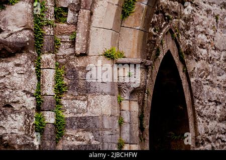 Les ruines de l'abbaye de Boyle ont des éléments de l'architecture gothique et romane primitive dans le comté de Roscommon, en Irlande. Banque D'Images