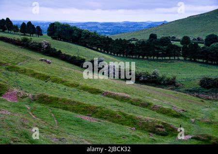 Collines de Loughcrew dans le comté de Meath, Irlande. Banque D'Images