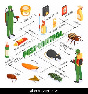 Composition isométrique de l'organigramme de lutte antiparasitaire avec produits de désection vaporisateurs et colles avec désinfecteurs vermins et illustration de vecteur de texte Illustration de Vecteur