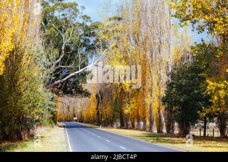 Gould Memorial Drive à Marysville en Australie Banque D'Images