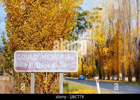 Gould Memorial Drive à Marysville en Australie Banque D'Images