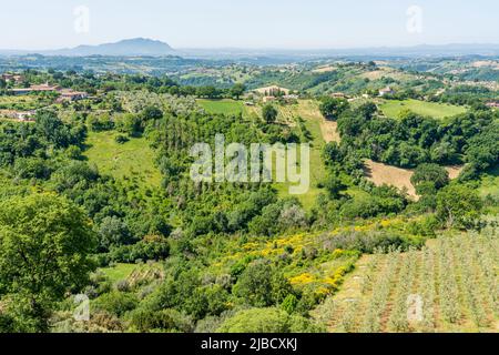 Calvi dell'Umbria, beau village de la province de Terni, Ombrie, Italie. Banque D'Images