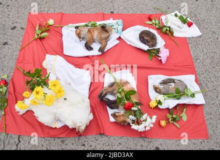 Londres, Angleterre, Royaume-Uni. 5th juin 2022. Animaux morts posés sur le sol avec des fleurs. Les militants des droits des animaux se sont réunis à Marble Arch pour assister à la Journée nationale des droits des animaux, qui commémore les milliards d'animaux exploités, maltraités et tués chaque année par les humains, et qui vise à éduquer le public sur les horreurs que les animaux traversent et à mettre en évidence des alternatives végétales sans cruauté. Certains activistes ont tenu des animaux réels, y compris des oiseaux, un écureuil, un hérisson, des rats et des renards, qui est mort de causes naturelles. (Image de crédit : © Vuk Valcic/ZUMA Press Wire) Banque D'Images