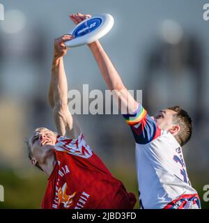 Ultimate Frisbee Competition Match - AUDL - les joueurs professionnels attrapent / attrapent le disque lors d'un jeu Phoenix Philadelphie USA / Etats-Unis Banque D'Images