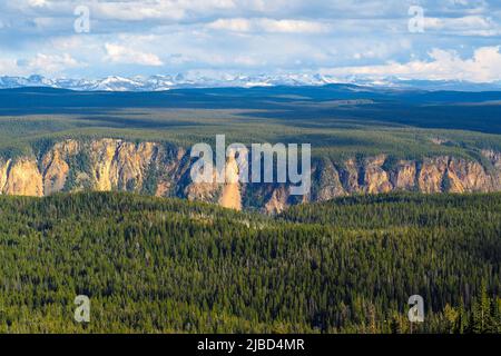 Great Canyon of Yellowstone, vue depuis les pentes de Mt.Washburn dans le parc national de Yellowstone, Wyoming, États-Unis avec un vaste paysage de montagne à l'arrière Banque D'Images