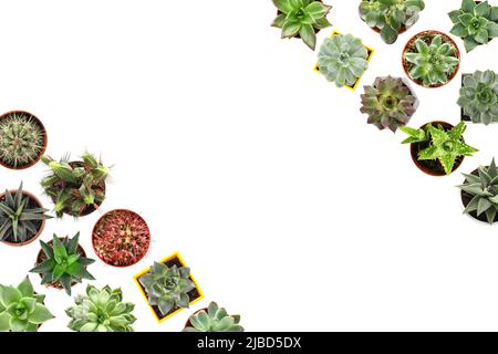 Beaucoup de succes sur fond blanc avec espace pour le texte, vue de dessus Banque D'Images