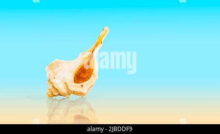 Florida Horse Conch Sea Shell sur fond de dégradé bleu et jaune avec réflexion. Concept de vacances d'été en bord de mer Banque D'Images