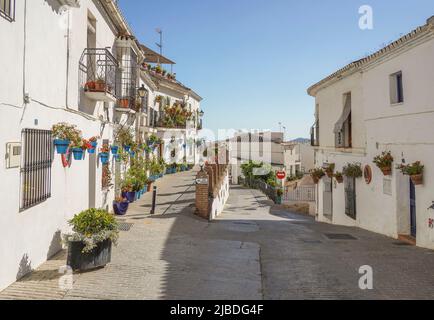 Vue sur la rue du village traditionnel espagnol blanc de Mijas, Costa del sol, Espagne. Banque D'Images