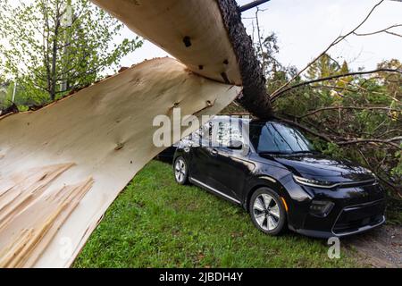 Gros plan sélectif sur l'écorce déchirée d'un arbre cassé, après la tempête apporte la destruction et les épaves véhicule garé sur la route de la propriété locale. Banque D'Images