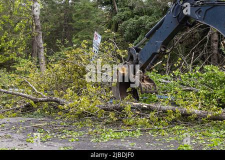 La flèche hydraulique et le tenon d'une pelle hydraulique ont été vus pour éliminer les débris et les arbres déracinés d'une autoroute à la suite d'une tempête violente. Copier l'espace vers la gauche. Banque D'Images