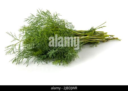 Aneth vert frais isolé sur blanc Banque D'Images