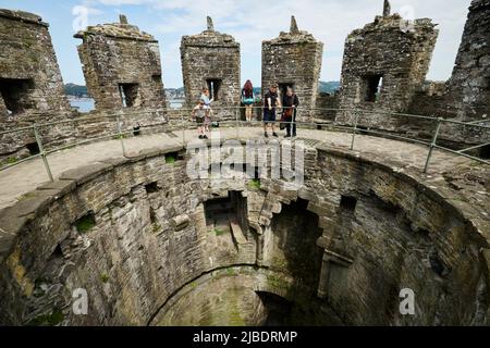 Conwy, nord du pays de Galles site médiéval structure défensive Tour du château de Conwy Banque D'Images