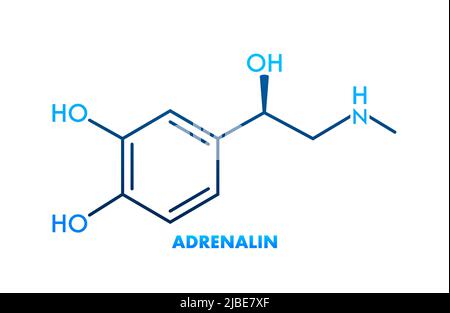 Adrénaline ou adrénaline, molécule de neurotransmetteur d'épinéphrine. Formule du squelette.illustration du vecteur Illustration de Vecteur