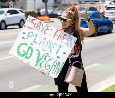 Beverly Hills, Californie, États-Unis. 05th juin 2022. Les militants des droits des animaux se réunissent à Beverly Hills pour protester contre leur traitement inhumain et leur exploitation.(Credit image: © Brian Cahn/ZUMA Press Wire) Banque D'Images